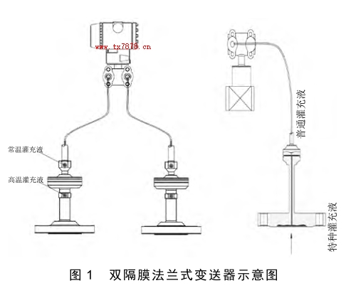 雙隔膜法蘭式變送器示意圖